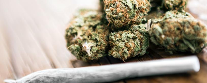 marijuana cigarette